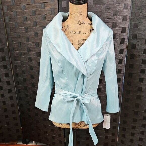 NWT Alex Evenings Ice Sage Top Size Large - Picture 1 of 10